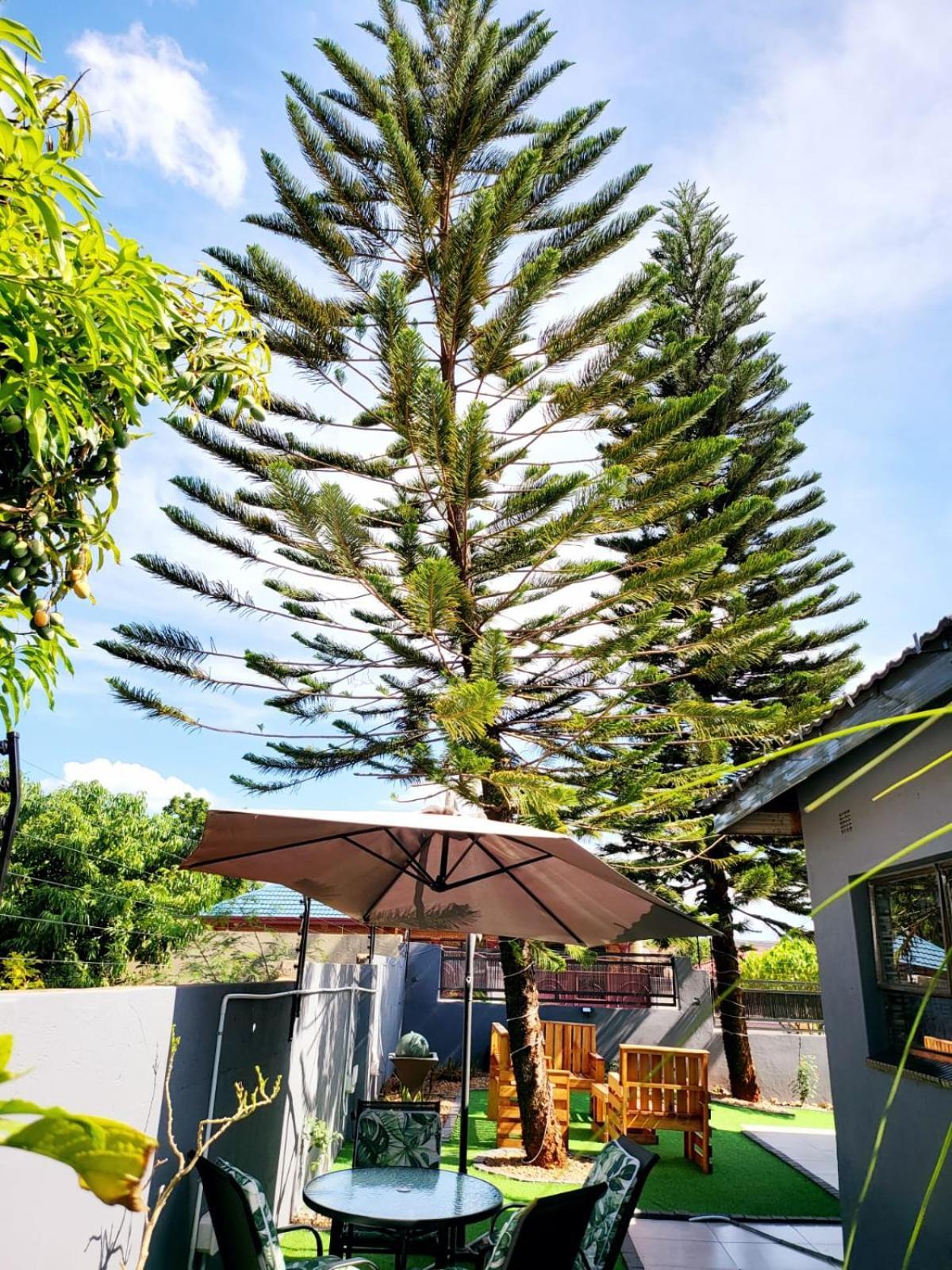 The Greenary Guest House And Restaurant Thohoyandou Eksteriør bilde